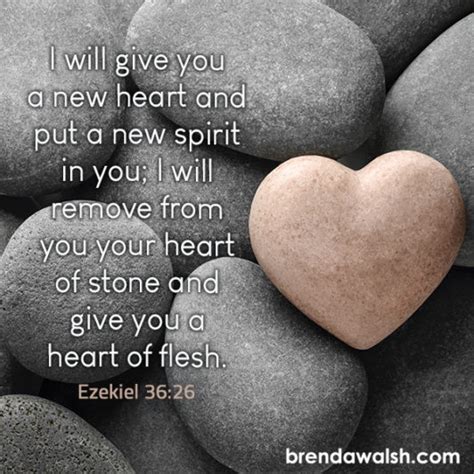 satony definition|stoney heart scriptures.